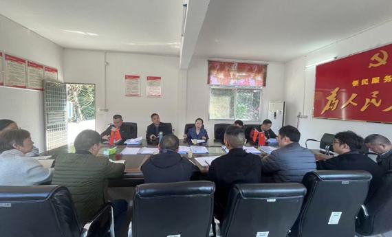 市残联调研石门县廖家冲村乡村振兴工作