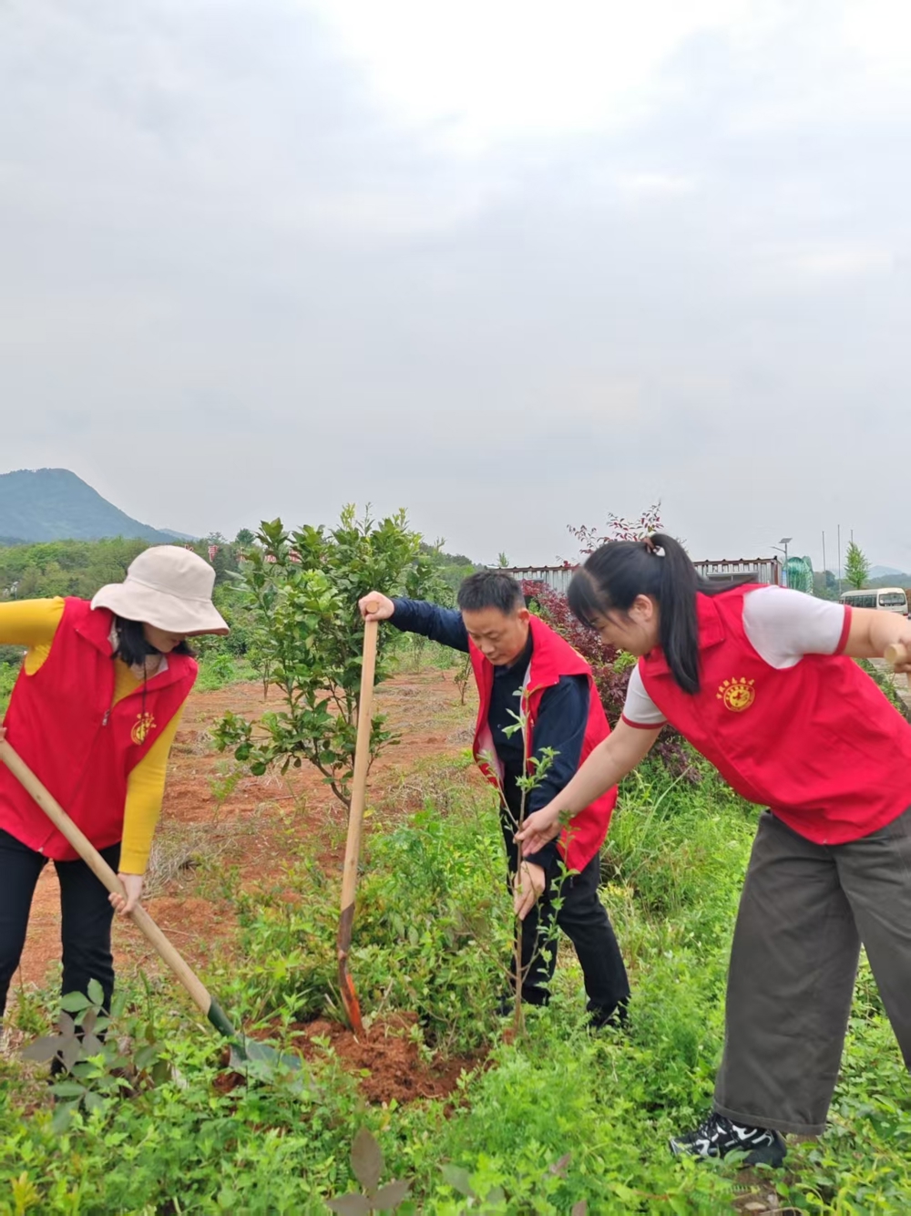 6811fe11ec8c40132c08583ccbf88c0f