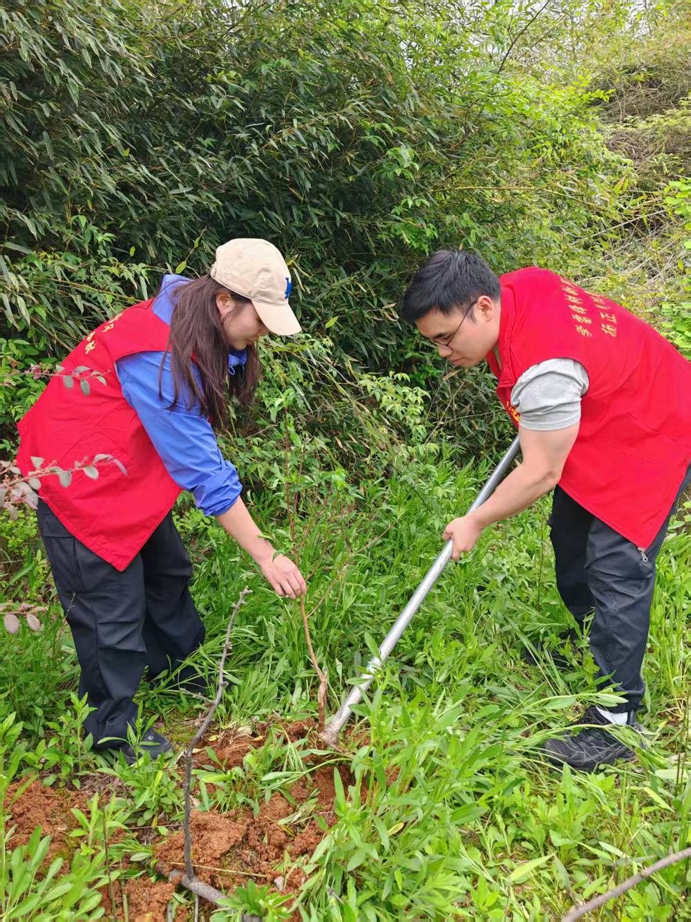 a2e7e6aba2929ff4edce2f4276ec109c