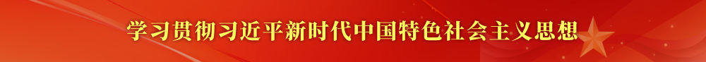 学习贯彻习近平新时代中国特色社会主义思想
