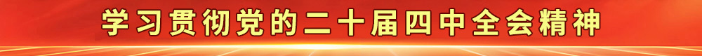学习贯彻党的二十届四中全会精神